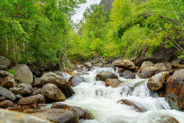River in mountain. Altai Republic. Russia
