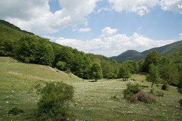 Fototapeta na wymiar Valle al Monte Faiatella, Parco Nazionale del Cilento e Vallo di Diano, primavera 