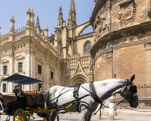Naklejka na ściany i meble Sevilla cathedral