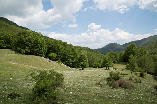 Valle al Monte Faiatella, Parco Nazionale del Cilento e Vallo di Diano, primavera 