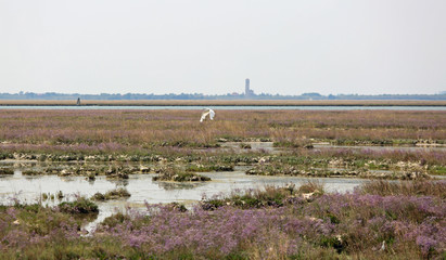 landscape in the Venetian lagoon near Venice called MESOLE in It