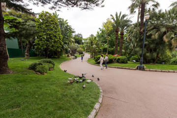 Obraz premium Parco di Montecarlo