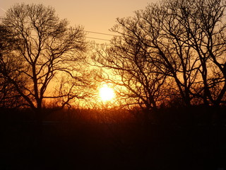 Naklejka premium Sunset Glare