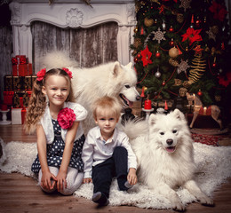 Brother and sister with a dog on the background of a Christmas tree