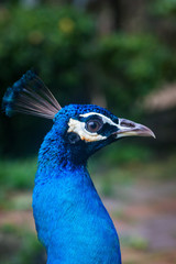 Kuala Lumpur, Malaysia