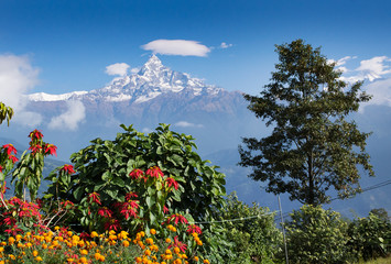 Machapuchare in Nepal