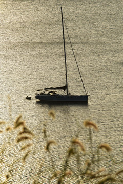Fototapeta Yacht is in the deep sea. The grass flower are blurry foreground.
