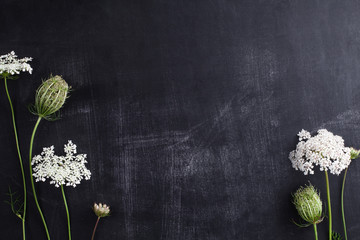 White field flowers on the bottom of blackboard, flat lay