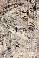 Three climbers on the wall