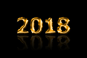 2018 Gold Leaf Vector Illustration on Black Background with Reflection