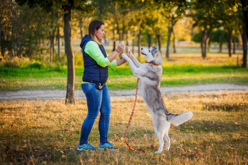 Fototapeta premium Young girl play with Siberian husky