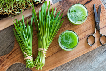 Two glasses of barley grass juice with freshly harvested barley grass