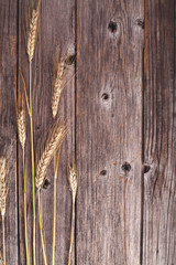 Ears of rye on the rustic wooden background