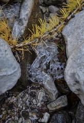 Ice in a frozen lake 