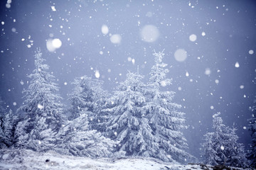 Trees covered with hoarfrost and snow in winter mountains - Christmas snowy backgroundic holiday background
