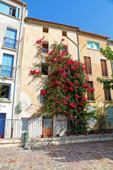 Fototapeta na wymiar Picturesque old town house with climbing flowers in Hyères - France