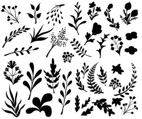 Vintage set of hand drawn tree branches with leaves and flowers on white background. Black silhouettes. Vector illustration.