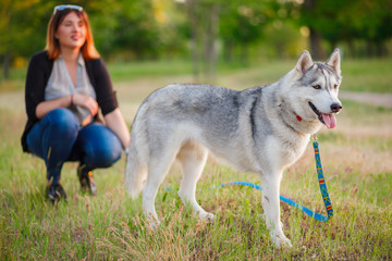 Young girl and her dog husky is sitting in a park