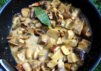 fricassée de champignons des bois 