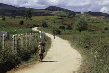 A Landscape Image of a Local Woman in Traditional Dress Walking away from camera on a dusty gravel road in Myanmar. The road winds among hills and farmer's fields. Taken near Bagan, Burma