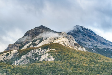 Fototapeta na wymiar Patagonia Forest Landscape, Chile