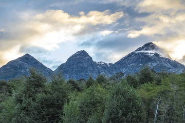 Obraz premium Patagonia Forest Landscape, Chile