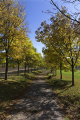 Colorful autumn country Landscape in central Bohemia, Czech Republic