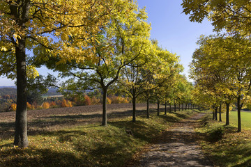 Fototapeta premium Colorful autumn country Landscape in central Bohemia, Czech Republic