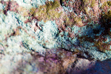 Lichen rock texture for alphas or gradients