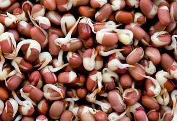 Split beans, adzuki beans, wheat and chick peas