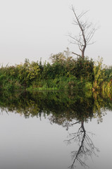 Reflection Of Trees In Lake Against Clear Sky, symmetry