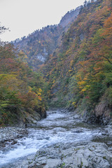 秋の清津川の風景