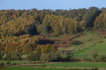 Yorkshire autumn