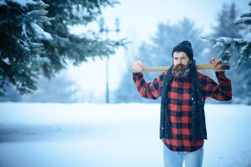 Winter holiday and celebration.