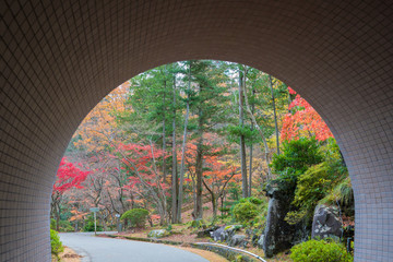 トンネルから望む紅葉