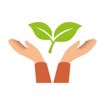 hands with leafs plant vector illustration design