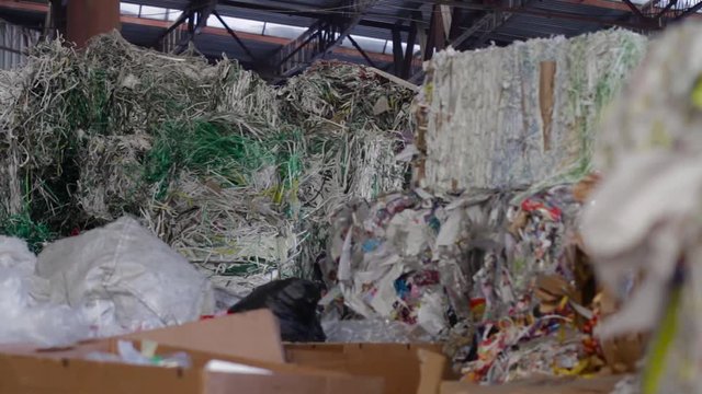 Material Recovery Facility. Sorted cardboard waste ready for reprocessing. Big Factory For Recycling Paper and Carboard. Large warehouse of waste paper in a factory.