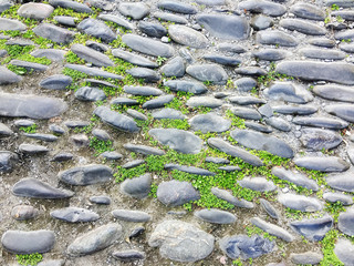 Stone background - gray stones and bright green grass between them. Closeup of a green lawn grass - stone walkway with green grass and gray stones