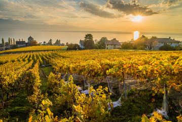 Sunset over Geneva lake in Lutry