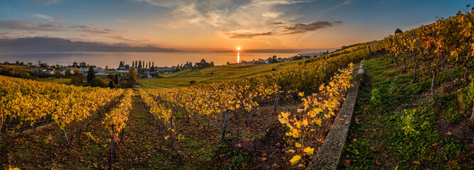 Sunset and panorama over vineyards in Lutry - obrazy, fototapety, plakaty