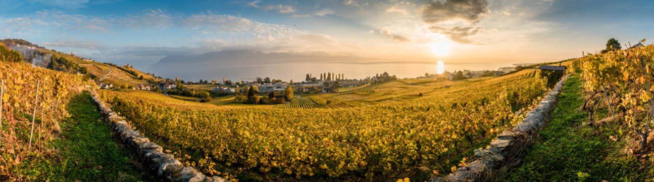 Panorama of  vineyards in Lutry