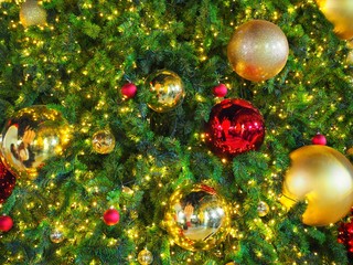 Many gold and red ornament shiny ball on Green Christmas tree. Can use for background and add text. 