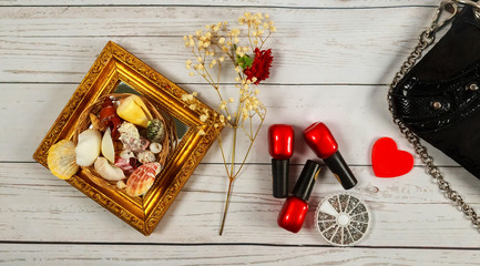 nail make-up Notebook Bag mirror woman lady stuff