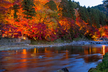 Obraz premium 紅葉美しい香嵐渓・ライトアップ