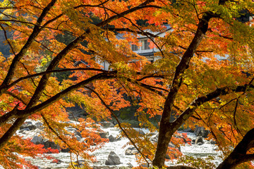 紅葉美しい香嵐渓