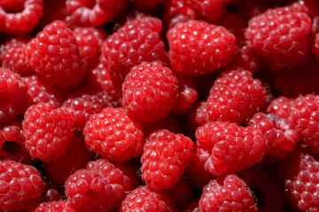 Delicious fresh and sweet red raspberries as food background. Healthy food organic nutrition. Rubus idaeus - natural antioxidant and vitamin fruit agriculture.