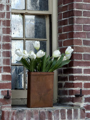 White tulips in copper vase on a brick window ledge