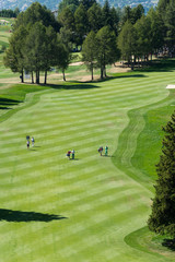 Fototapeta premium golf