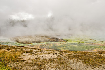Steam and Fog Engulf Nearby Trees 93111