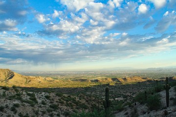 Sonoran Desert Morning